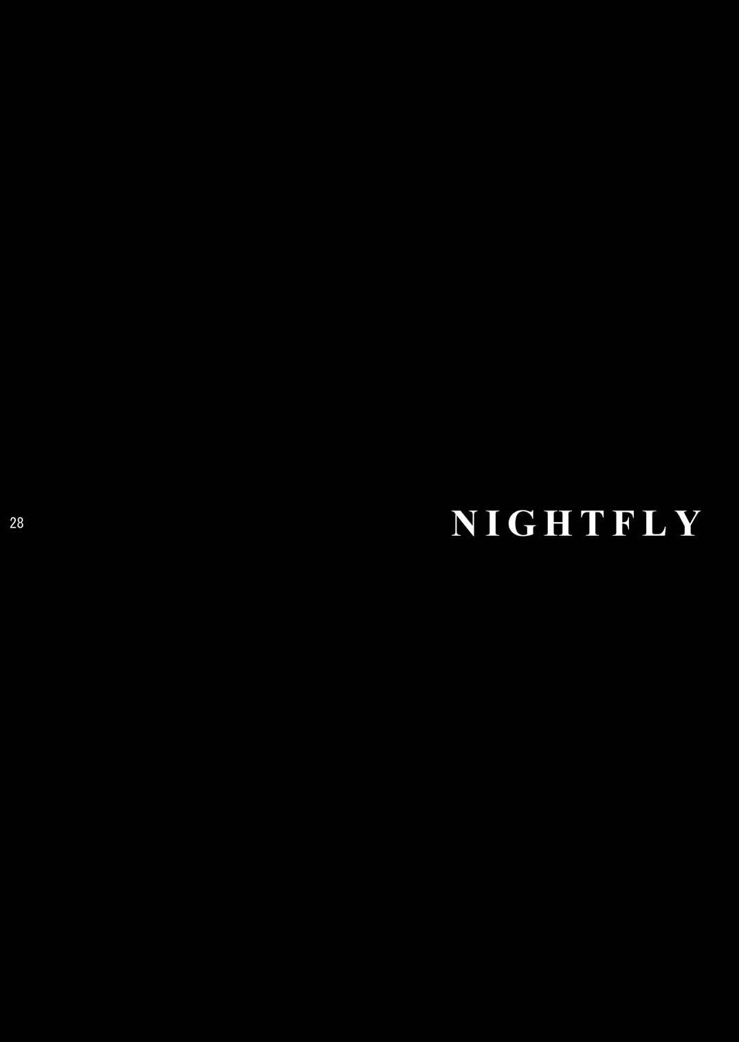 Nightfly / Ночная бабочка 26
