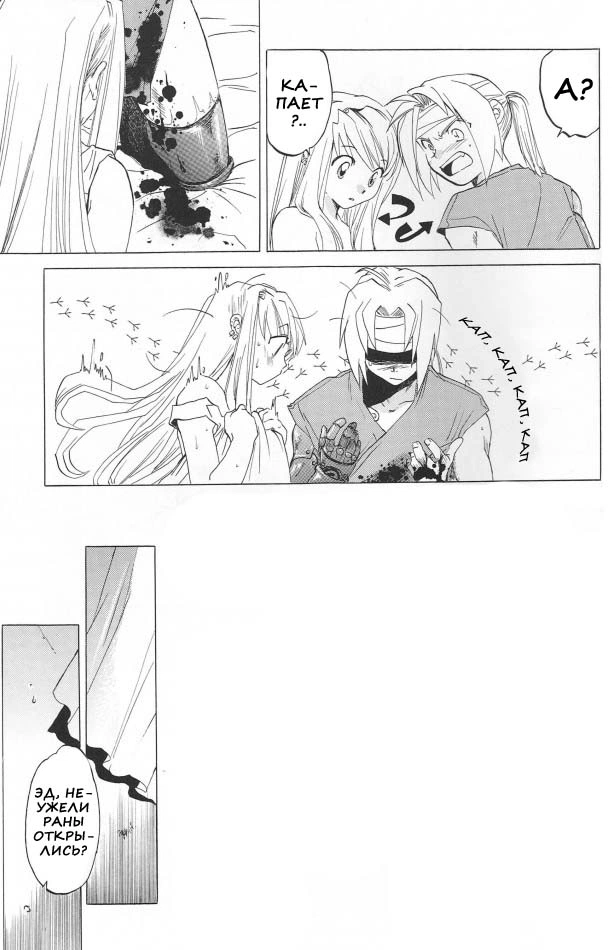 Fullmetal Alchemist. ED X WIN (ЭД И УИН) 46