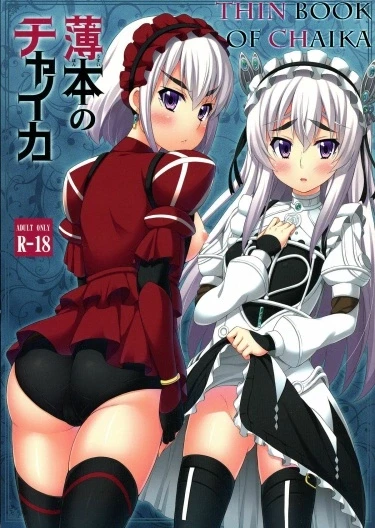 Тонкая книга Чайки
