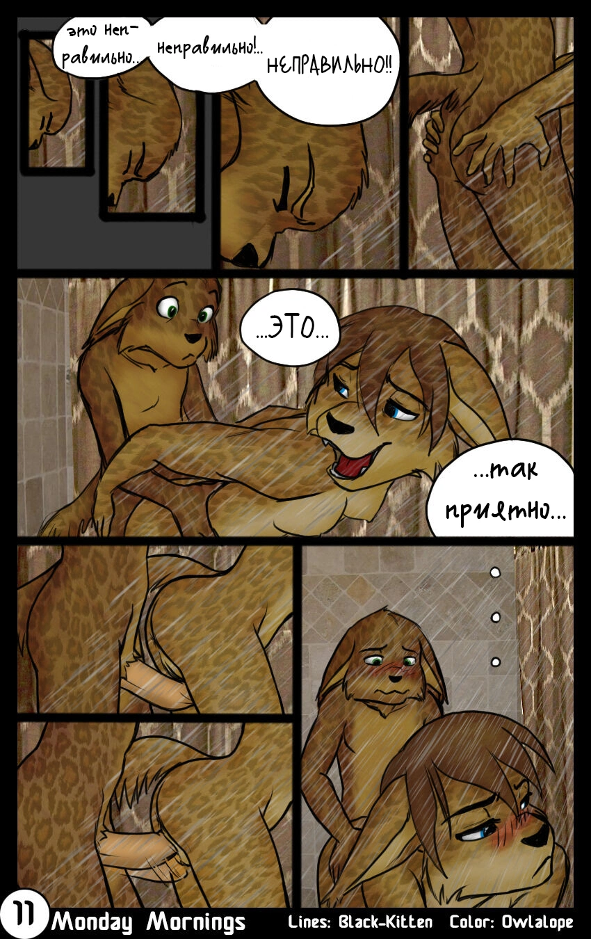 Утро 13