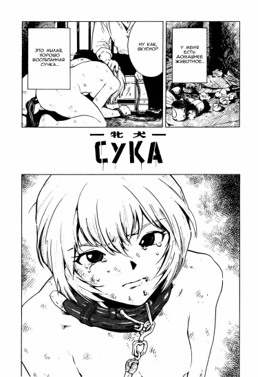 Сука