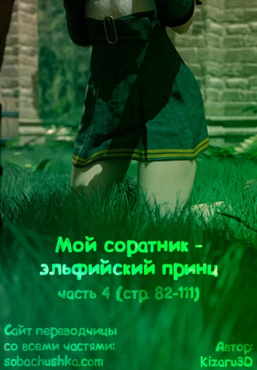 Мой соратник - эльфийский принц