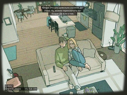 По камере наблюдения