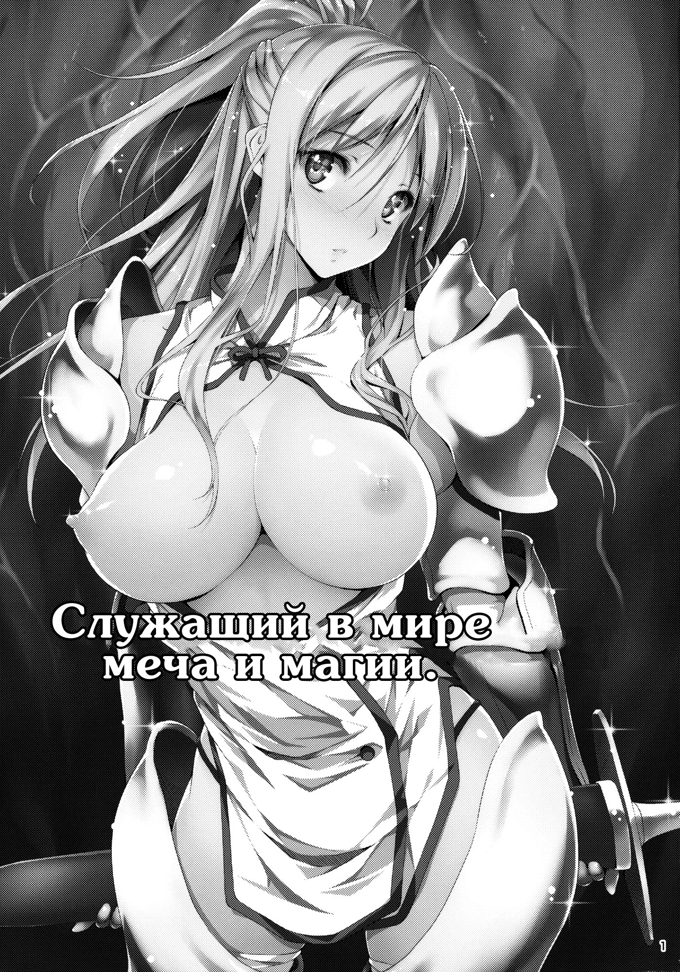 Служащий в мире меча и магии  1